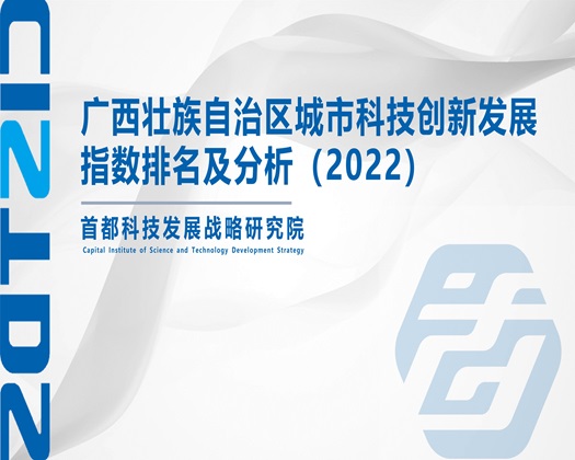 黄站日逼【成果发布】广西壮族自治区城市科技创新发展指数排名及分析（2022）